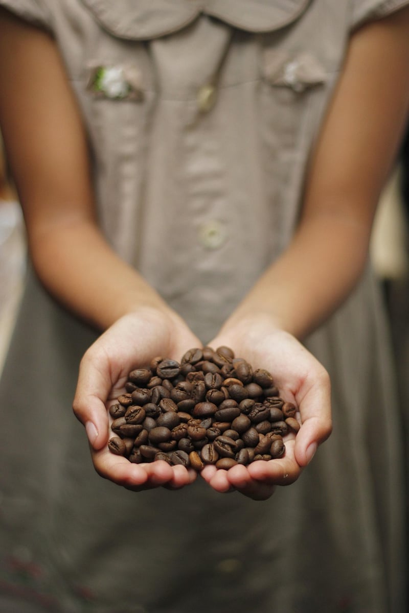 Cold Brew Coffee